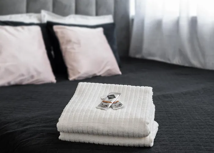 Air-conditioned Premium Loft Skyline Only 900 M To Station * Varsó